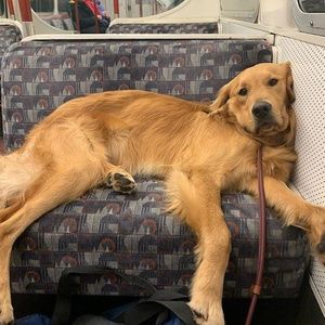 Meet your Posher, Cj